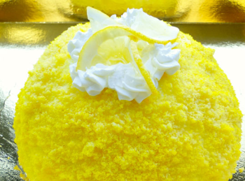 Mimosa al limone da 500 gr