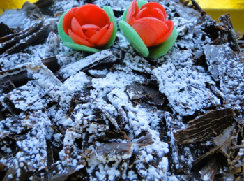 Foresta nera da 500 gr