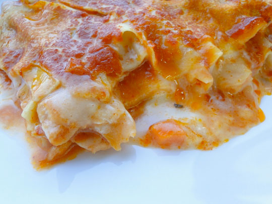 Lasagna al salmone rossa