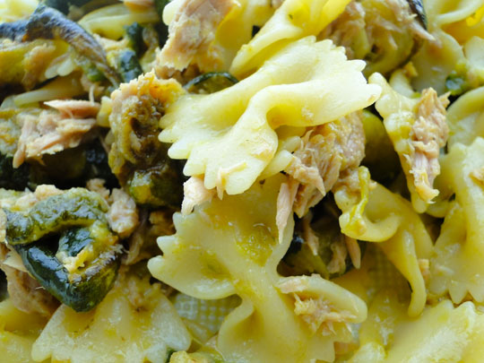 Pasta fredda tonno e zucchine